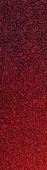 Купить пряжу ALIZE Rainbow цвет 1050 - интернет магазин МелОптЯрн