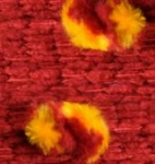 5190