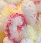 Купить пряжу ALIZE Puffy color цвет 6244 - интернет магазин МелОптЯрн