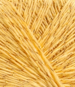 2006